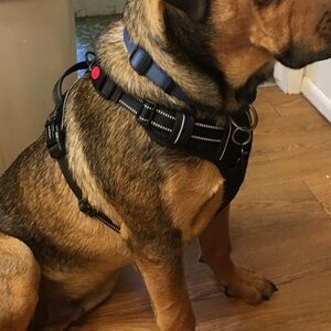 Rabbitgoo No-Pull Front Clip Dog Harness